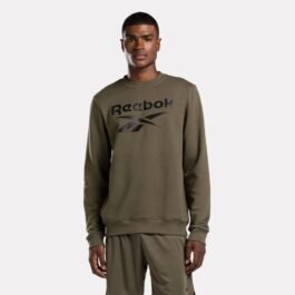 100071036 RI FLC BIG LOGO CREW REEBOK HOMME