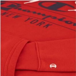 217994-RS053 HOODED SWEATSHIRT CHAMPION HOMME